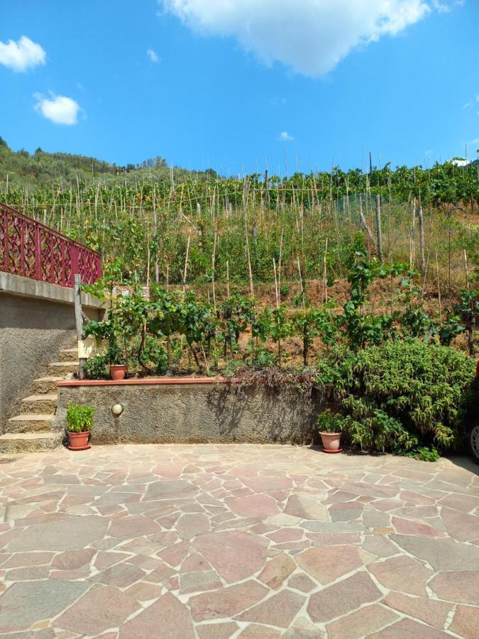 Villa Ester Camaiore Luaran gambar