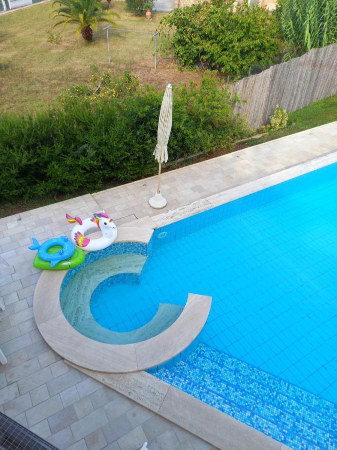 Villa Ester Camaiore Luaran gambar